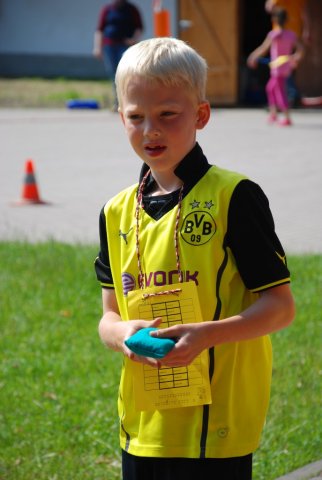 Sport- und  Spielfest 27.06.2014