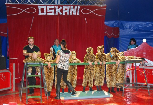 Zikurs OSKANI 22.04.2016