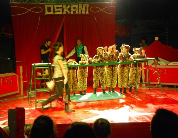 Zikurs OSKANI 22.04.2016