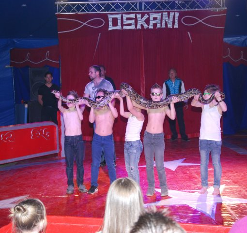 Zikurs OSKANI 22.04.2016
