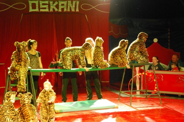 Zikurs OSKANI 23.04.2016
