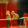 Zikurs OSKANI 23.04.2016