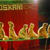 Zikurs OSKANI 23.04.2016