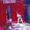 Zikurs OSKANI 23.04.2016